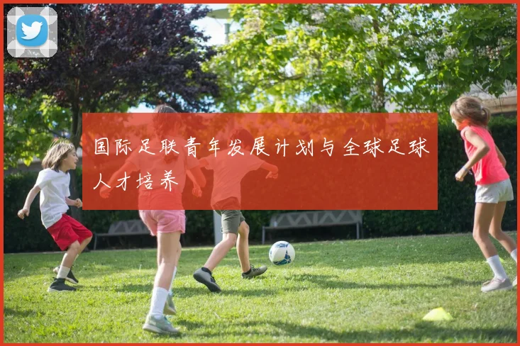 国际足联青年发展计划与全球足球人才培养