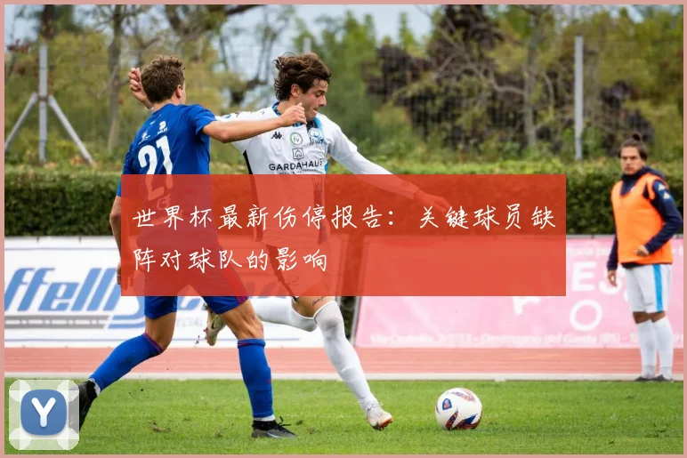 世界杯最新伤停报告:关键球员缺阵对球队的影响