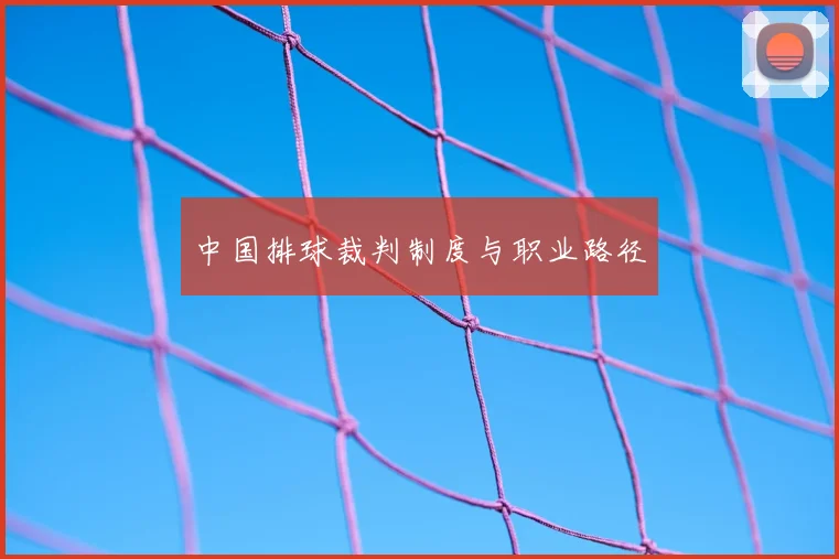 中国排球裁判制度与职业路径